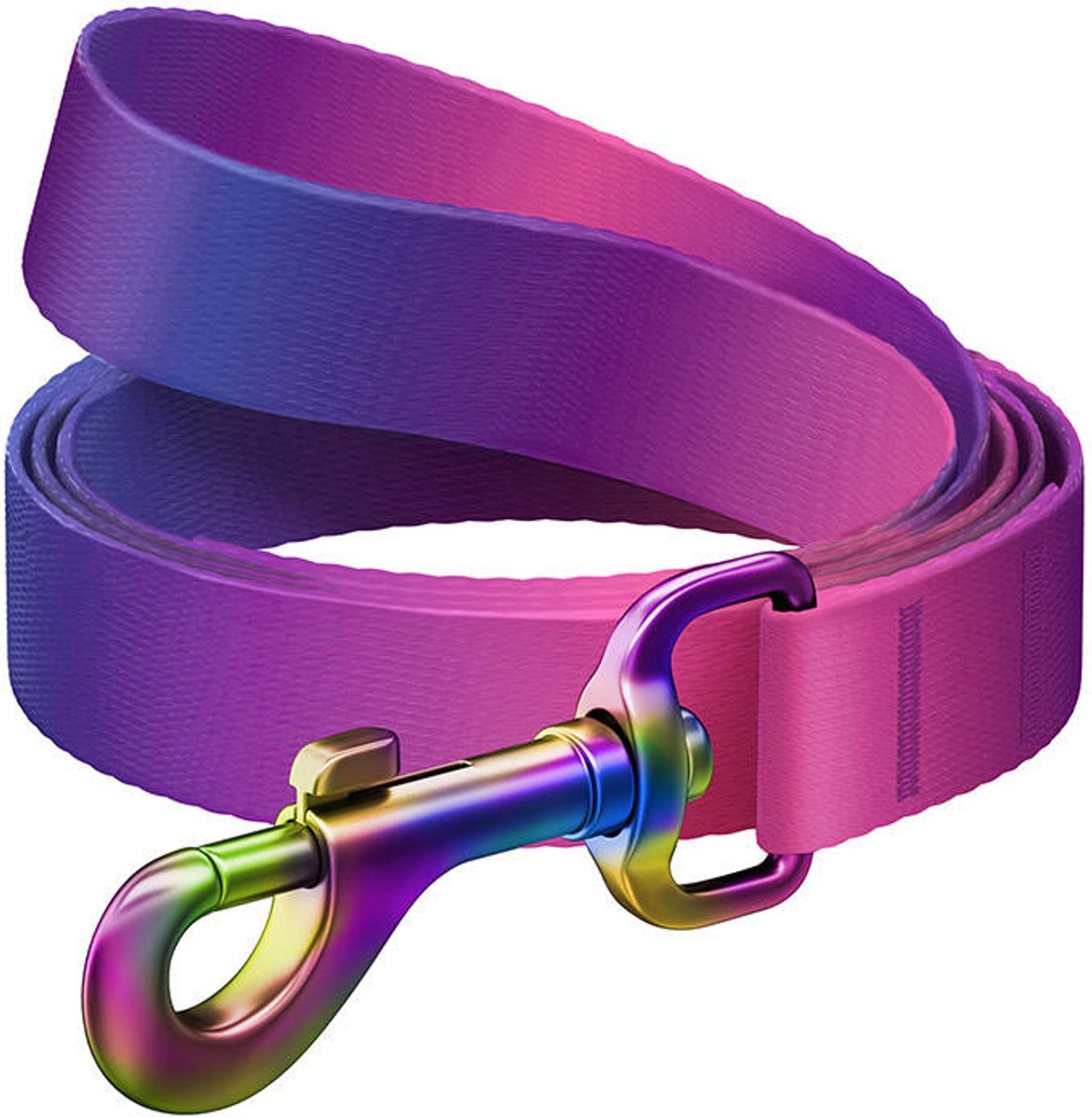 Waudog Nylon Hondenriem Met Gradiënt, Breedte 20 Mm, Lengte 122 Cm, Paars