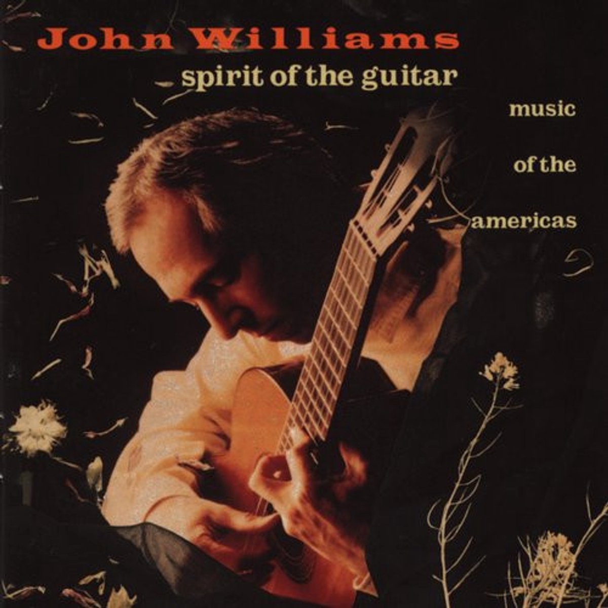 Spirit Of The Guitar