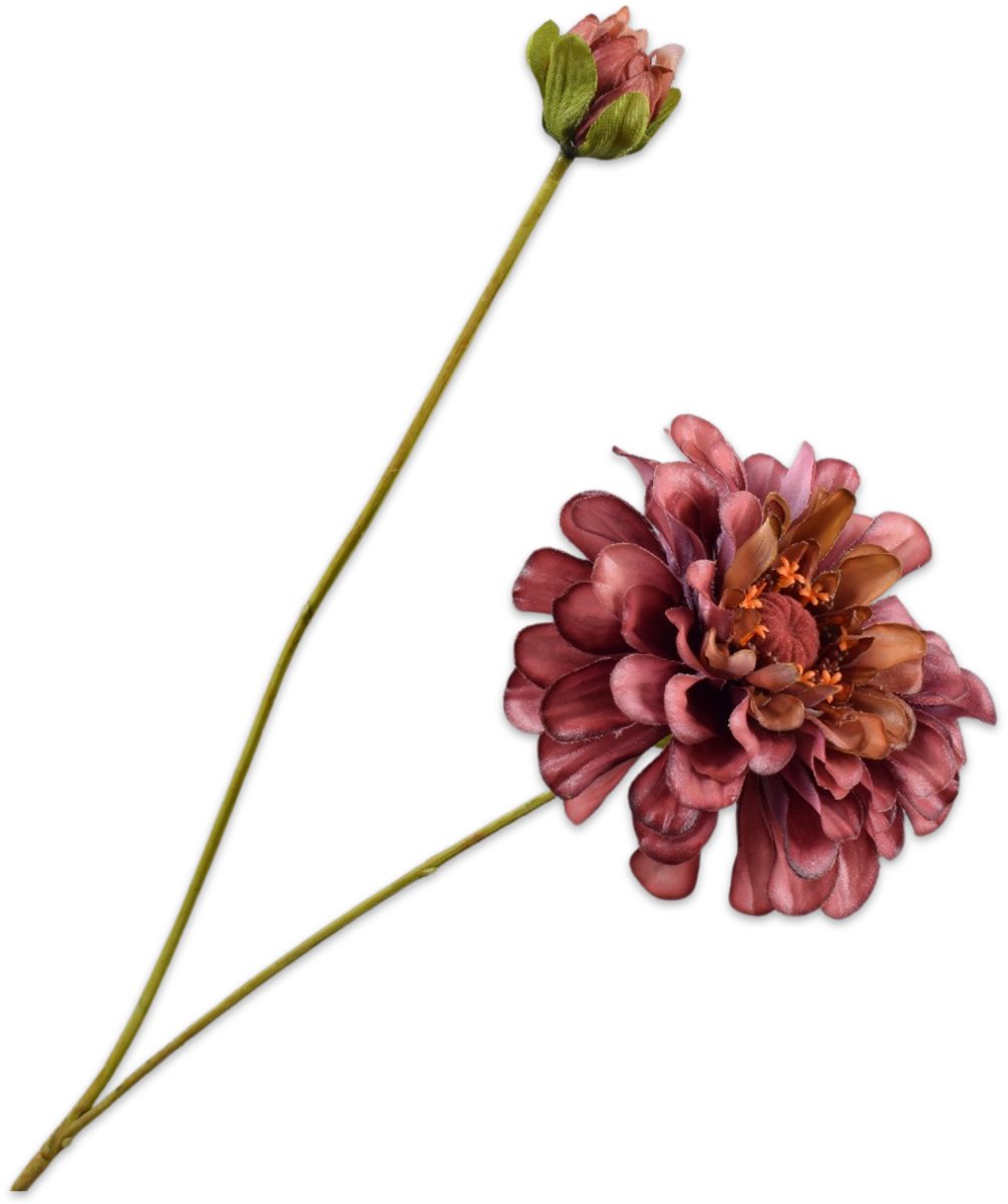 Silk-ka Kunstbloem-Zijde Bloemen Zinnia Tak Bruin-Roze 62 cm