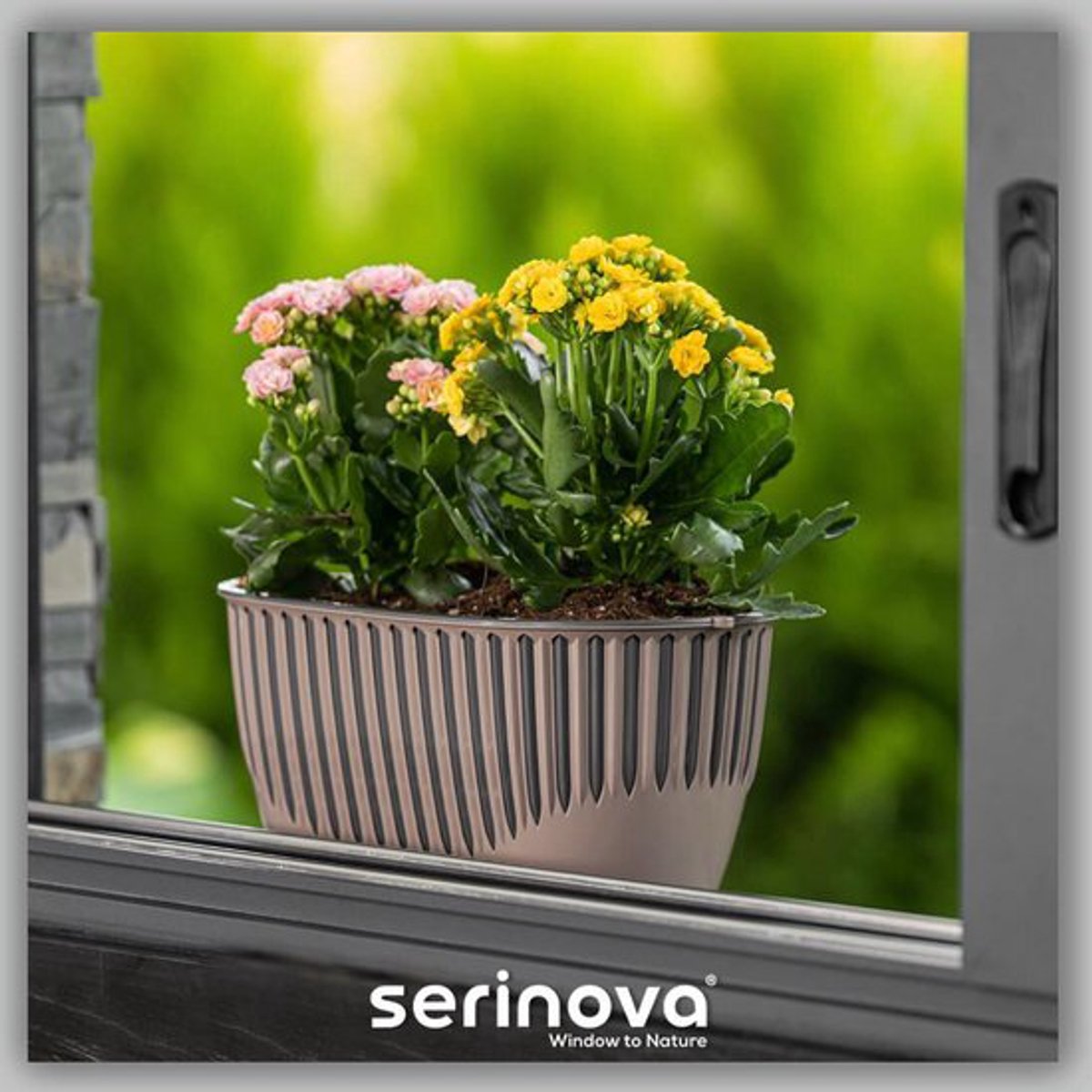 1+1 Piano bloembakken mokka antraciet Serinova plantenbak balkonbakken met drainage 32cm