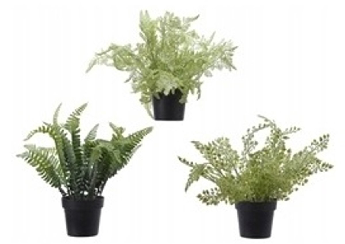 Kaemingk Kunstplant Varen - Groene Pot - 26 cm - Onderhoudsvriendelijk