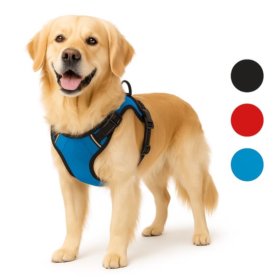Een glimlachende Golden Retriever met een blauw en zwart hondentuig. Zwarte, rode en blauwe kleurencirkels ernaast.