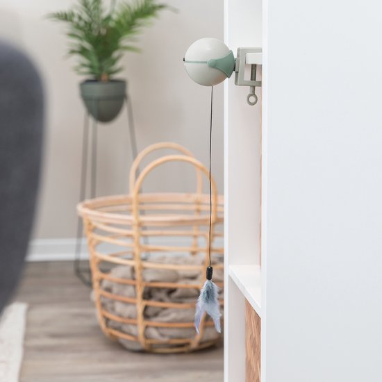 Wit kattenspeeltje met lichtgroene accenten, met een touwtje en een grijze veer die aan een plank hangt.