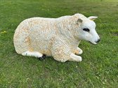 Goodyz - Animaux de la ferme - Moutons - Moutons - Mouton Texel - Couché - XXL