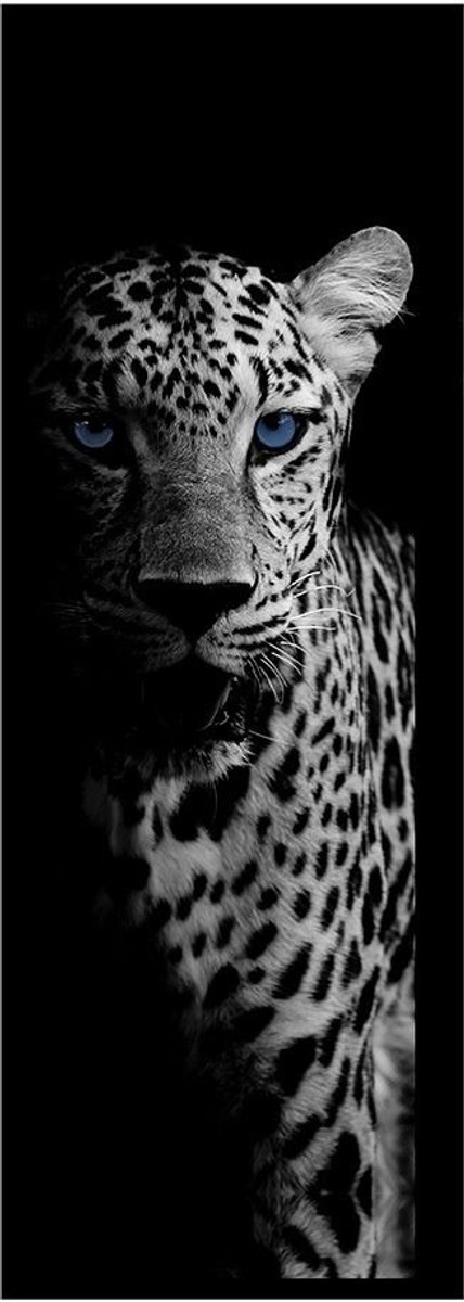 Vica International - Deurmat Cheetah antraciet/blauw - 50x150 cm