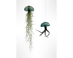 Jellyfish Luchtplant – Smaragdgroene Glazen Zee-egel XL met Tillandsia – Handgemaakt Hangplantje – Onderhoudsvriendelijk Cadeau/herfst/rituals/adventskalender/kerst/kadotip/sinterklaas/feestdagen/halloween/kerstcadeau