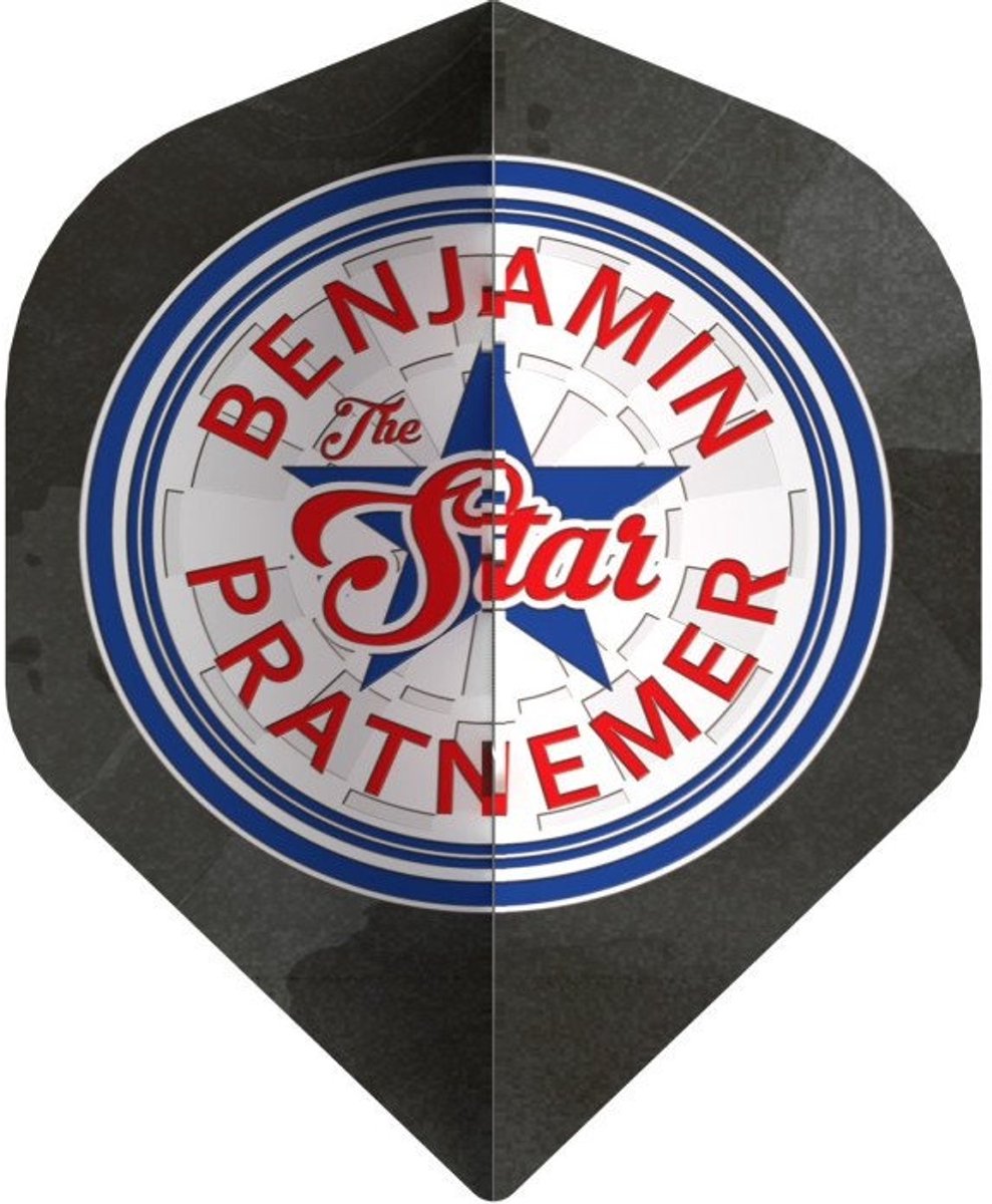 Bull's Benjamin Pratnemer 90 Grey NO2 - Dart Flights