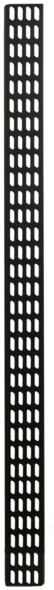 DSIT 32U verticale kabelgoot - 10 cm breed