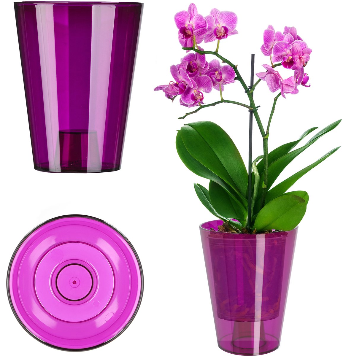 KADAX Bloempot, slanke orchideeënpot, eenvoudige plantenbak, bloempot voor orchidee, Moeras Madeliefjes, plantenbak voor keuken en woonkamer (diameter 12 cm, rond, pruim)