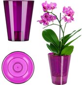 KADAX Bloempot, slanke orchideeënpot, eenvoudige plantenbak, bloempot voor orchidee, Moeras Madeliefjes, plantenbak voor keuken en woonkamer (diameter 12 cm, rond, transparant