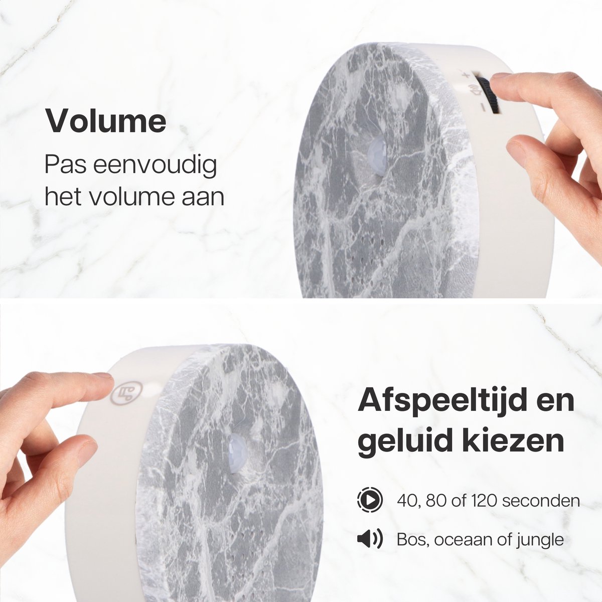 Natuurgeluiden met Muziek: Geluid van de Zee en Dolfijnen met Natuurgeluiden met Muziek: Geluid van de Zee en Dolfijnen met