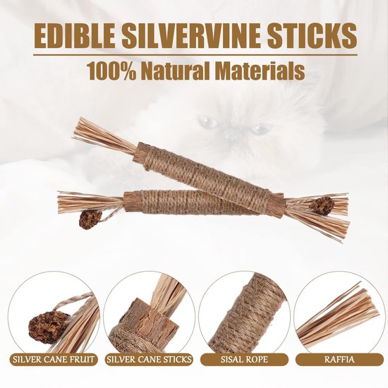 Twee zilverstruikspeeltjes van 100% natuurlijke materialen, met details van zilverstruikvrucht, zilverstruikstokjes, sisal touw en raffia.