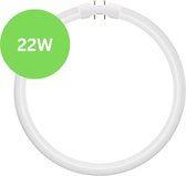 TL5 Cirkel TL-buis 22W – 2GX13 (4-pins) Ø 23cm – 840 Koel Wit – Vervangt Philips/Osram