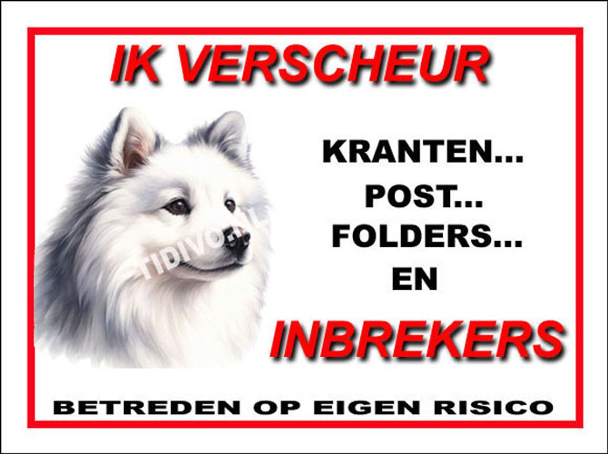 American Eskimo Dog 8