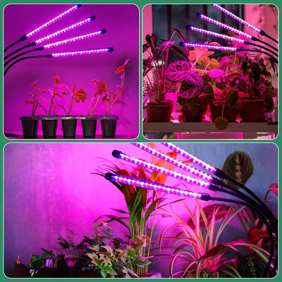 SciFiVisi Staande plantenlamp met 240 leds, met timer, 3