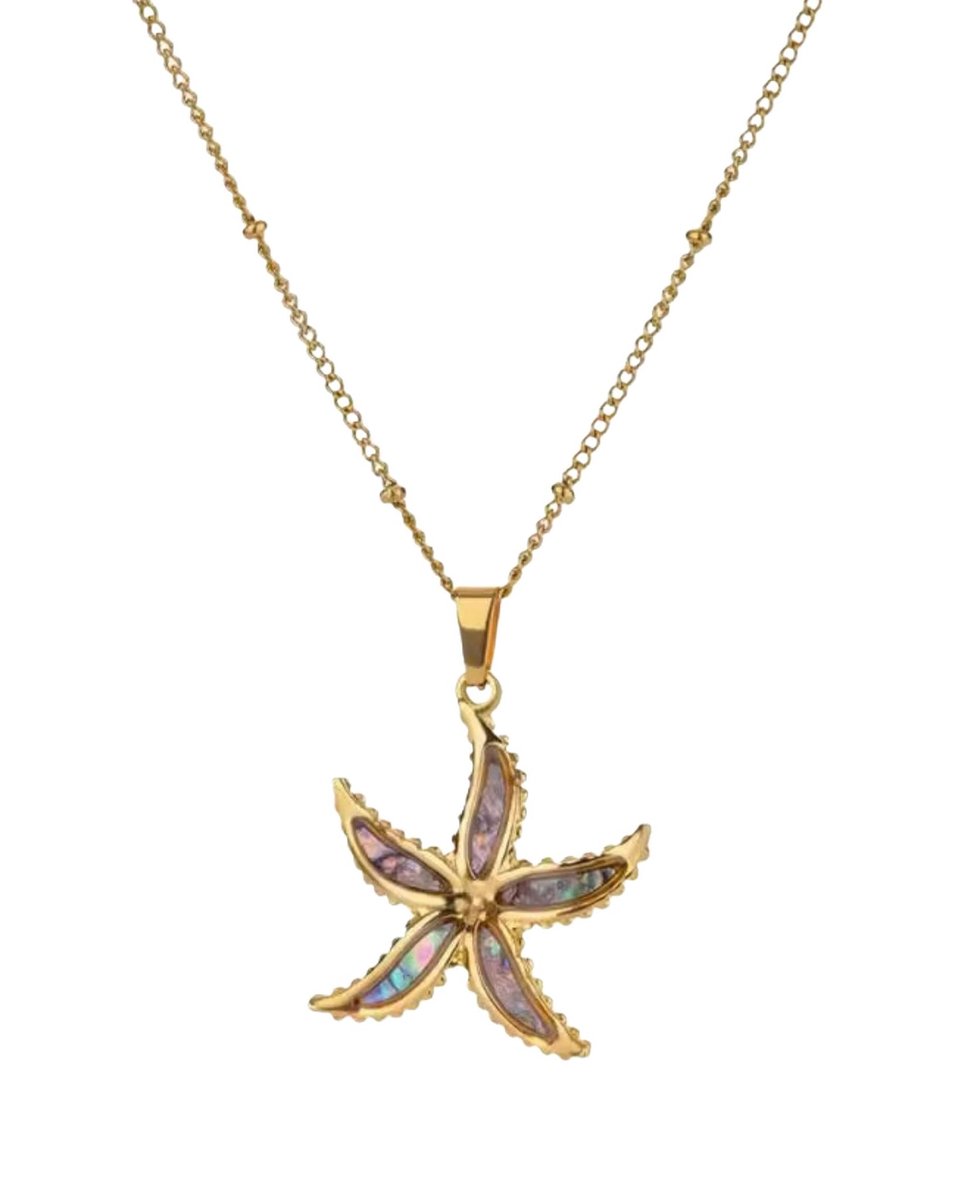 Cliste Couture - Shell Star Charm Necklace - Sieraden - Vrouwen Ketting - Goudkleurig