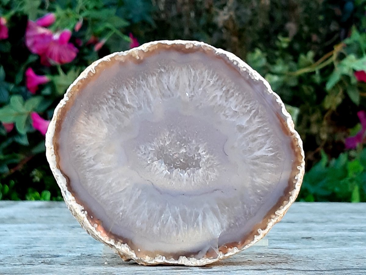 Agaat schijf - 391 gram