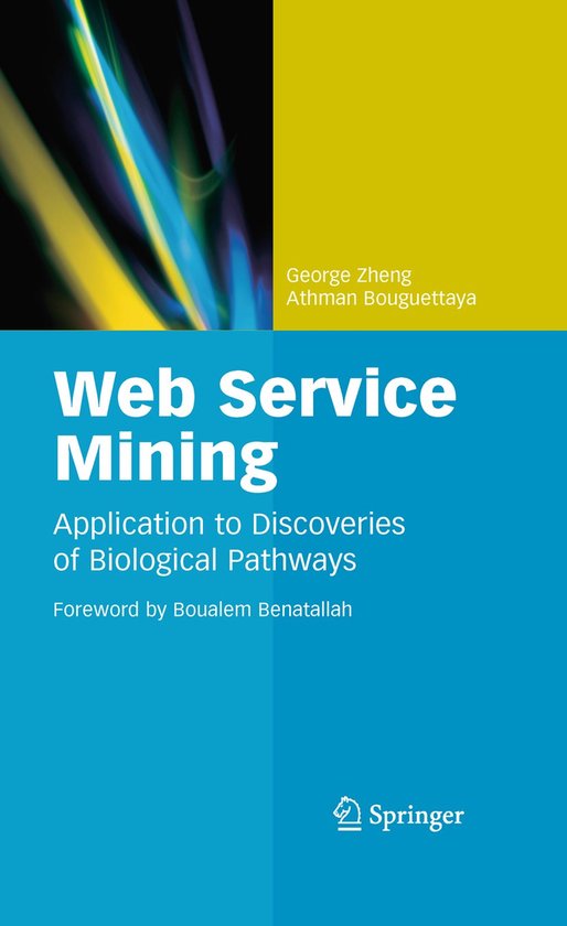 Web Service Mining - cover