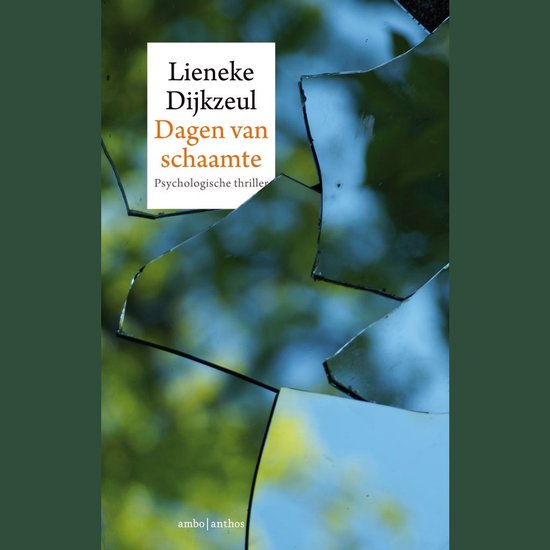 Dagen van schaamte - cover