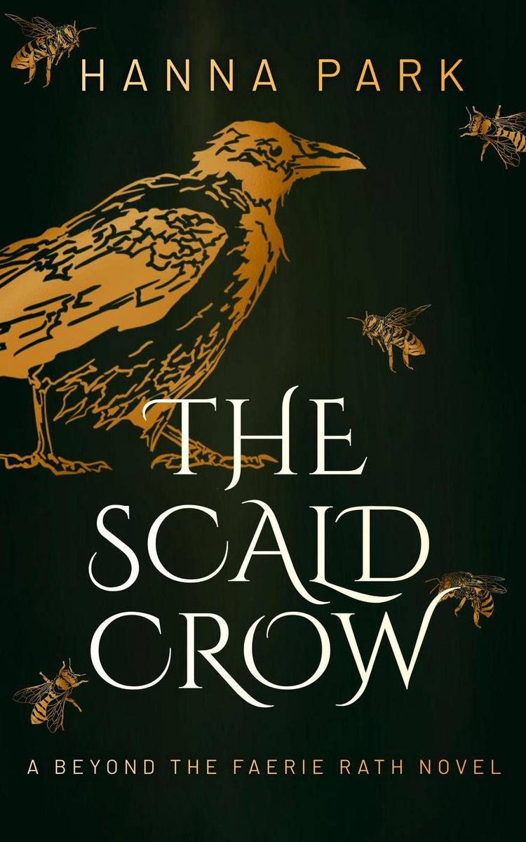 Beyond The Faerie Rath-the Scald Crow van Hanna Park