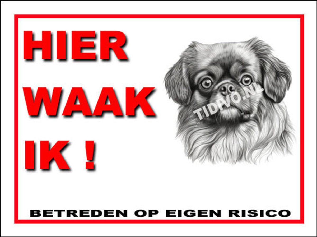 Tibetaanse Spaniel 3