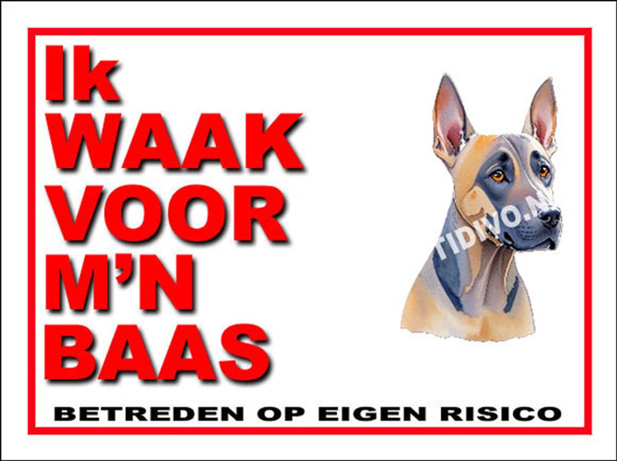 Thai Ridgeback Dog 9