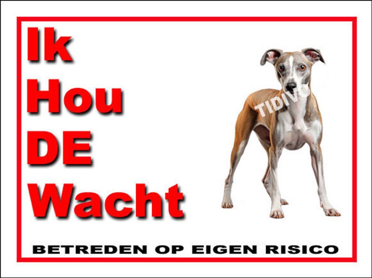 Whippet 7