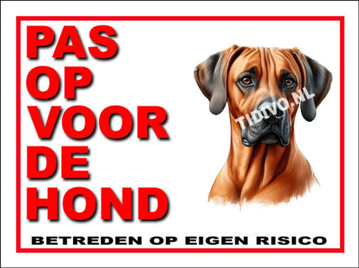 Weimaraner Rhodesian Ridgeback 13