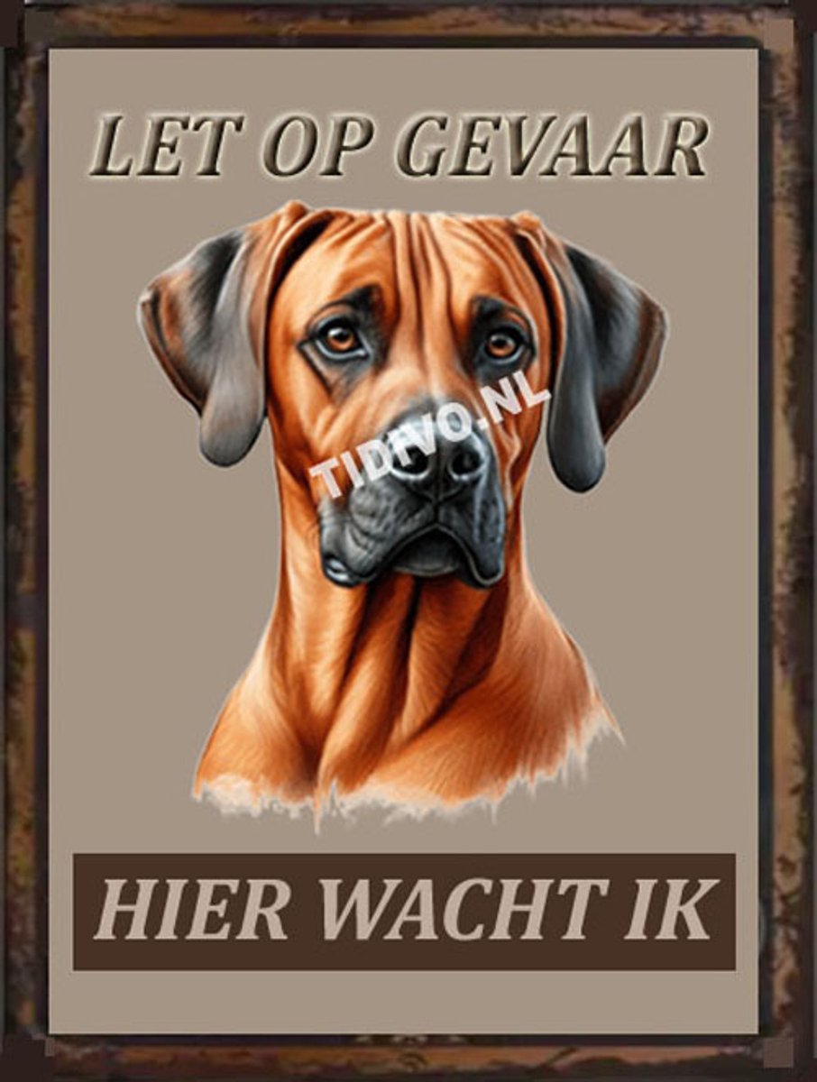 Weimaraner Rhodesian Ridgeback 18