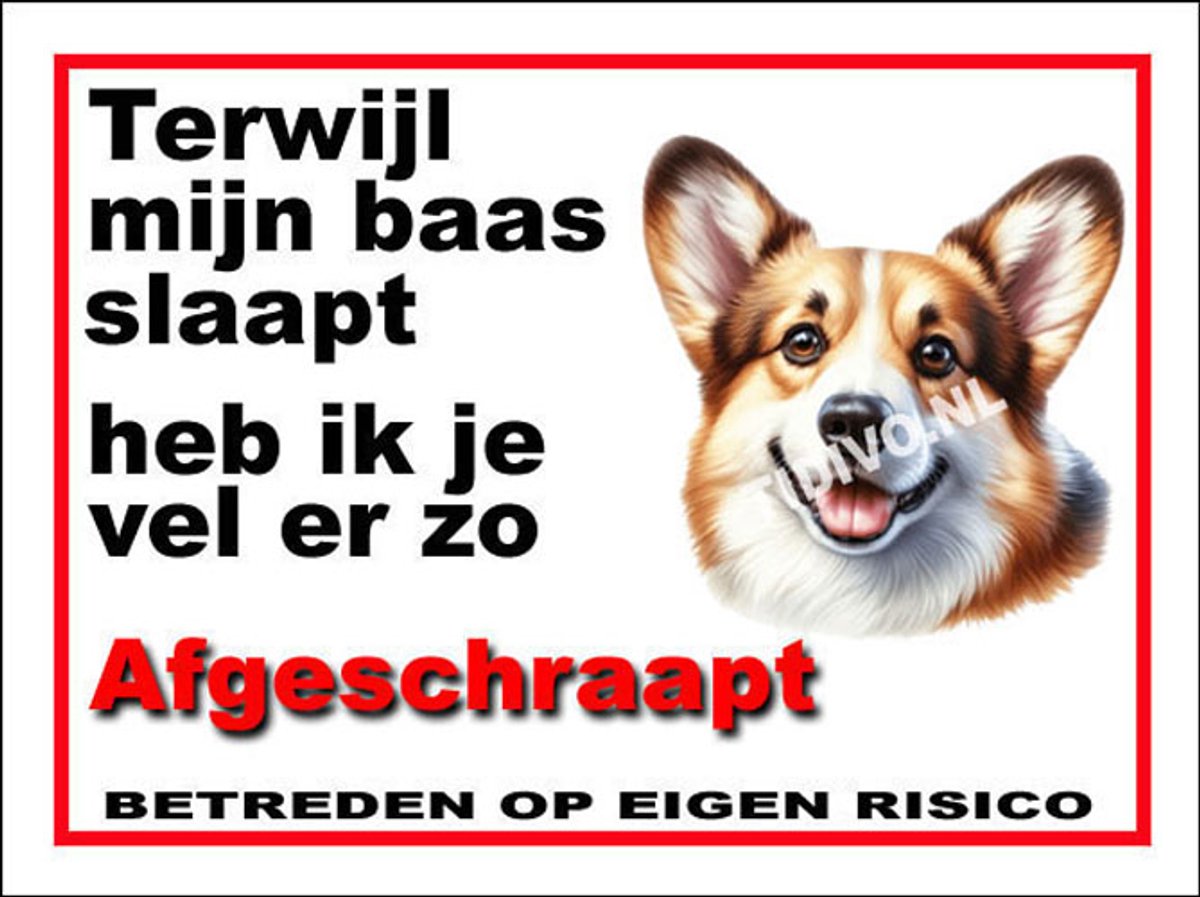 Welsh Corgi 15