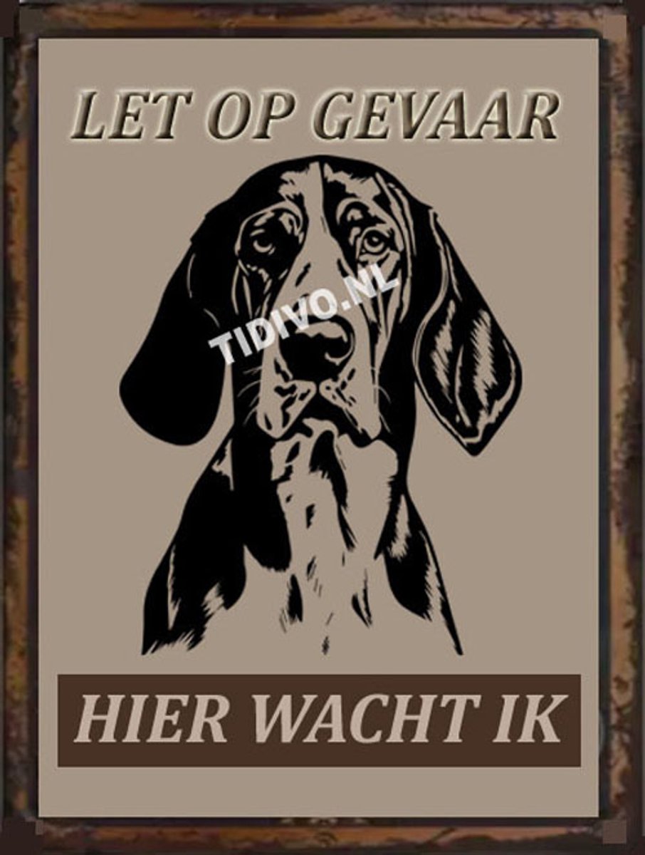 Treeing Walker Coonhound 18