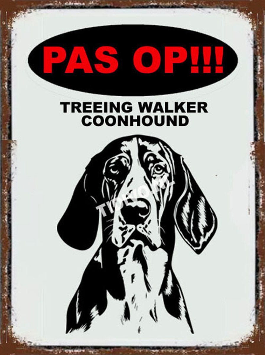Treeing Walker Coonhound 17