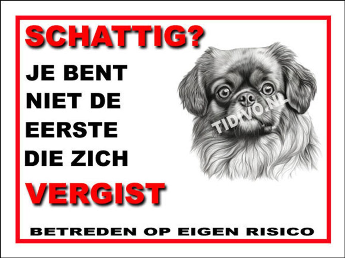 Tibetaanse Spaniel 14