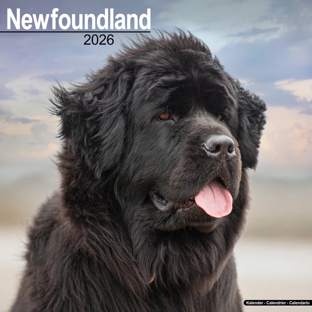 Newfoundlander Kalender 2026