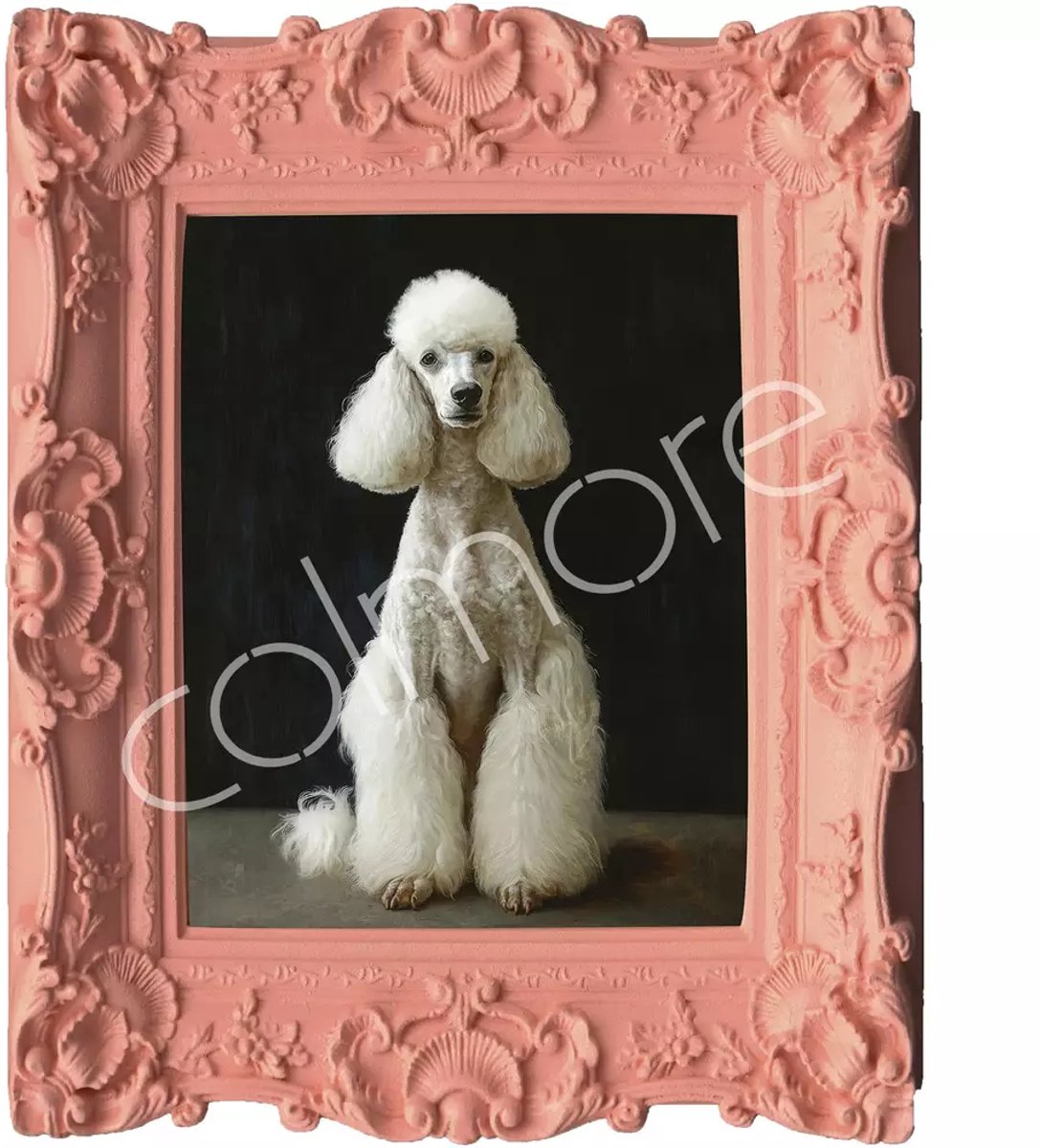 Colmore by Diga handbeschilderd schilderij roze met poedel 30 x 35 cm