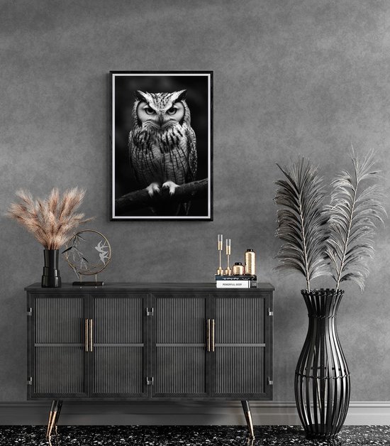 Hibou Poster | Noir|Wit Affiche | Animaux Poster | Affiche Nature | Vogel Poster | Photographie Affiche | Affiche sur la faune | 60x90cm | Décoration murale | Affiche murale | 5401KMD | Convient pour l'encadrement