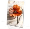 wit, beige, groen, bruin, Bloem, Hyperrealisme, Papaver, Oranje