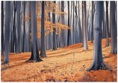 WALLARENA - Fotobehang - 300x210 cm - Fototapete met een bos, bomen en natuur voor de slaapkamer of woonkamer, vliesbehang