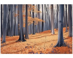 WALLARENA - Fotobehang - 300x210 cm - Fototapete met een bos, bomen en natuur voor de slaapkamer of woonkamer, vliesbehang