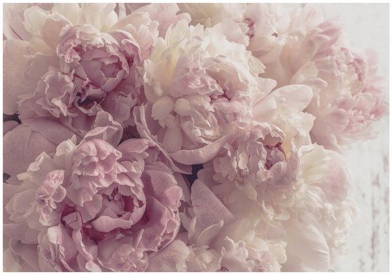 WALLARENA - Fotobehang - 350x250 cm - Fototapete met roze pioenrozen voor slaapkamer en woonkamer