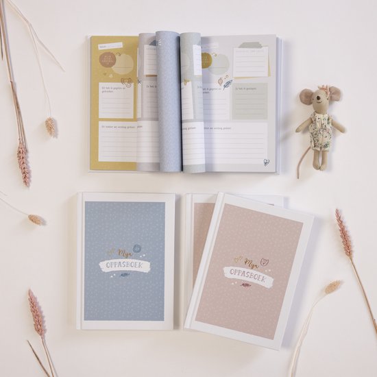 Twee 'Mijn Oppasboek' boeken, een blauwe en een roze, naast een open boek met schrijfruimte en een muisspeeltje.