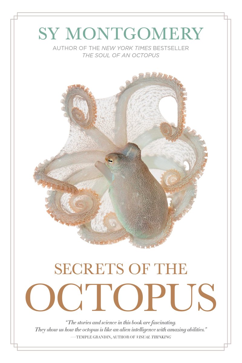 Omslag van Secrets of the Octopus