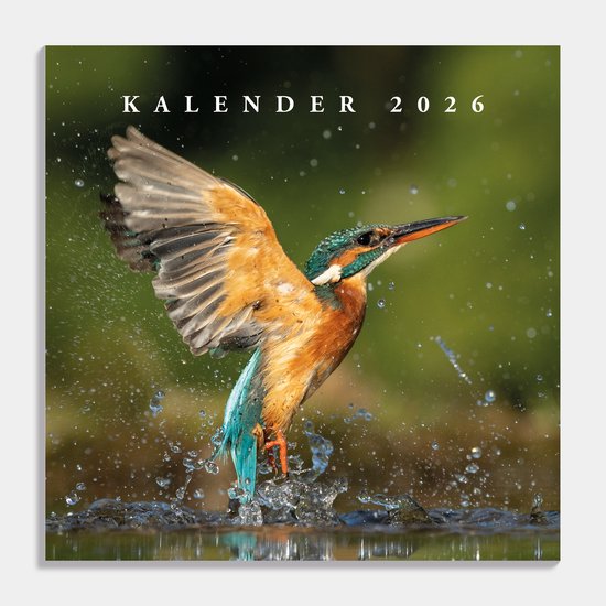 Hobbit - Jaarkalender 2026 - Maandplanner - 30x30cm - Vogels