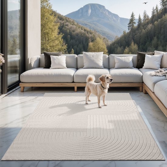le tapis Tapis moderne Santo Plus - Tapis de haute qualité pour salon et chambre à coucher, design Boho , Crème, 160 x 220 cm