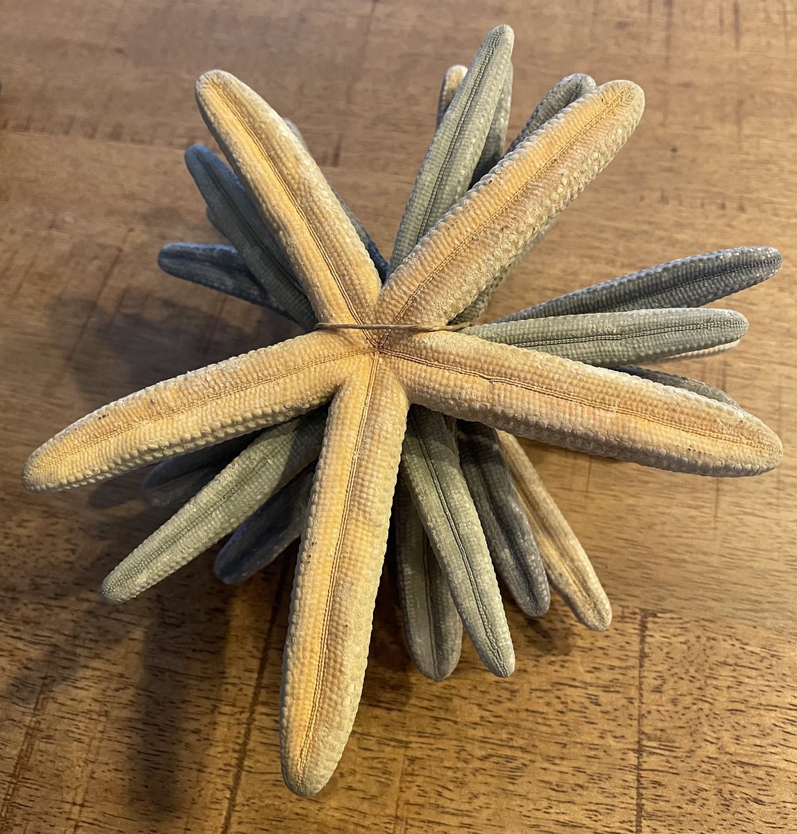 Decoratie Zeesterren 6 stuks | Zeester | Maritiem | Maritieme Sfeer | Zee | Strand | Decoratie | Deco | Decoratief | Woonaccessoires | Woonaccessoire | Beach | Ibiza vibes | Style | Zee Ster | Sterren | Blauw Grijs | Schip | Scheepvaart | Vissen