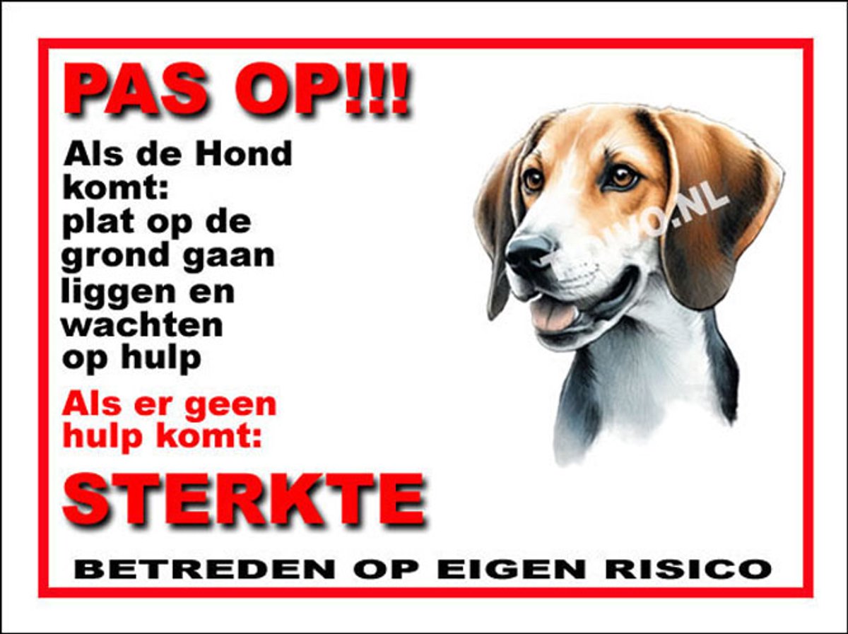 Fox Terrier 12