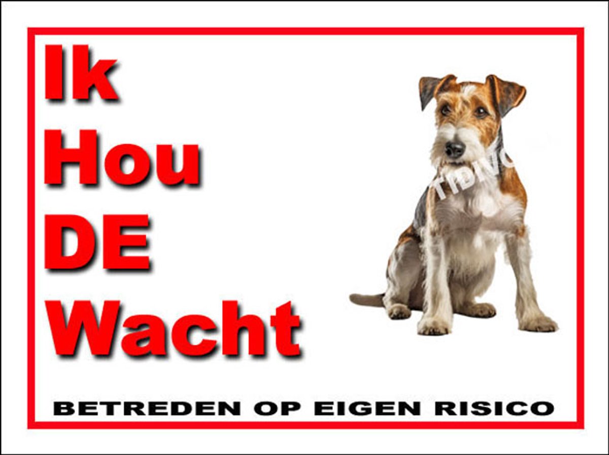 Fox Terriër Draadhaar 7