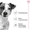 Close-up van een hond met iconen voor gewichtsbeheersing, botten en vitaliteit.
