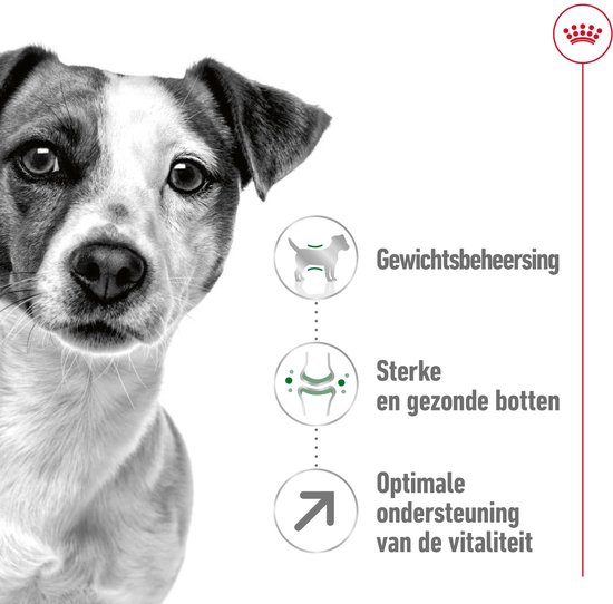 Close-up van een hond met iconen voor gewichtsbeheersing, botten en vitaliteit.