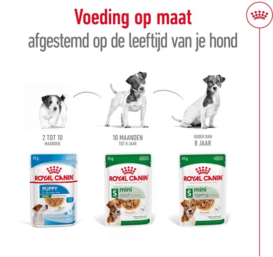 Royal Canin infographic toont puppy, adult en senior honden met bijbehorend natvoer (puppy, mini adult, mini ageing).